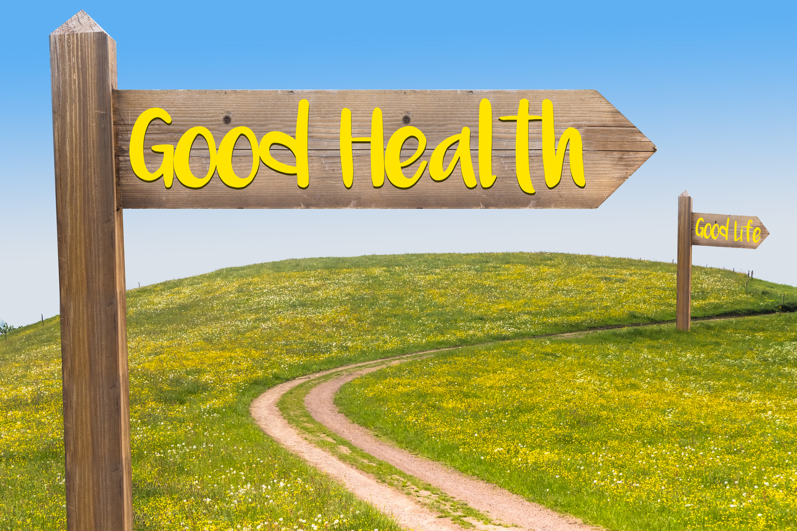 Good Health Concept